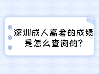 深圳成人高考的成绩是怎么查询的?